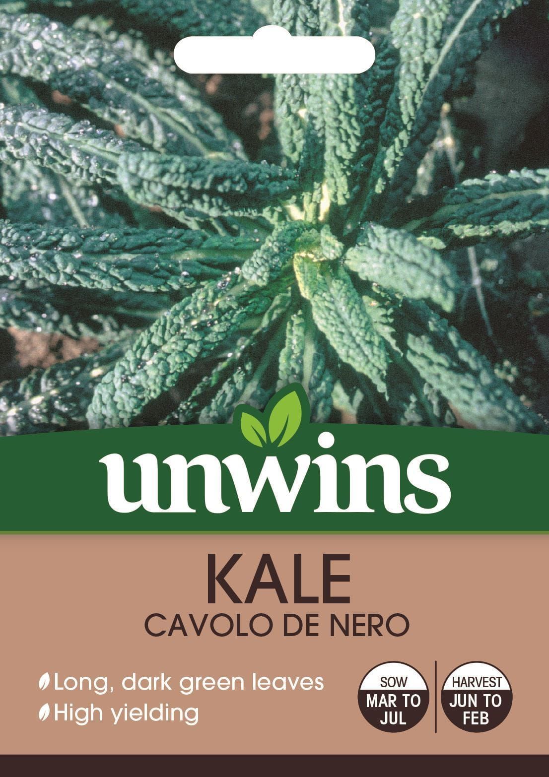 Unwins Kale Cavolo de Nero 200 Seeds