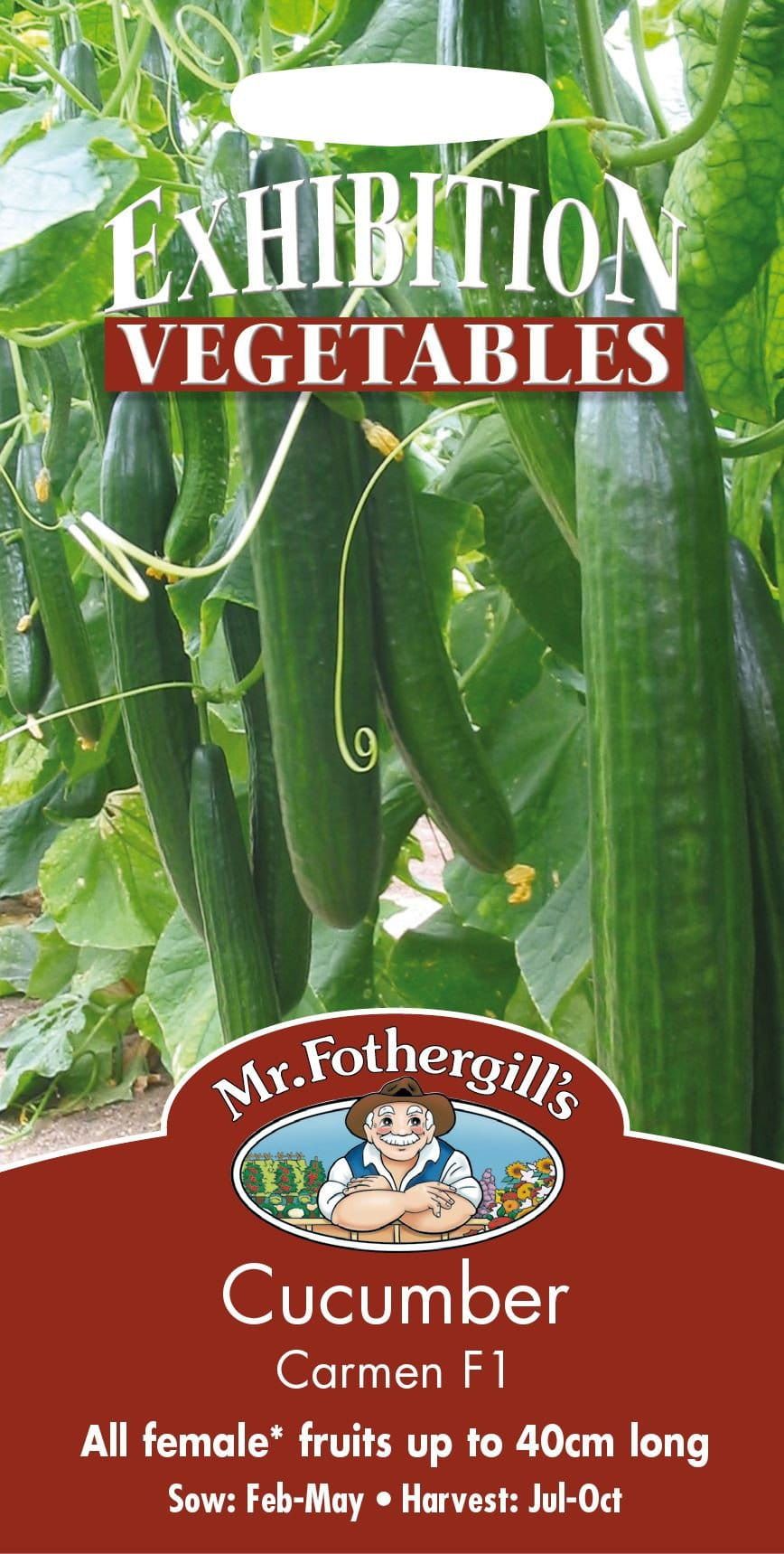 Mr Fothergills Cucumber Carmen F1 5 Seeds