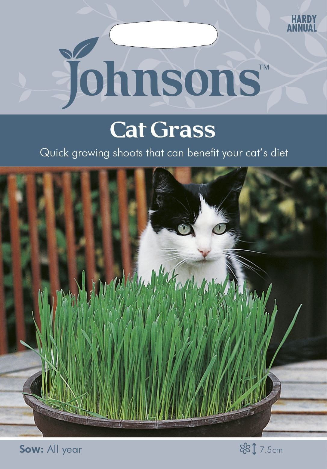 Johnsons Cat Grass 25g Seeds
