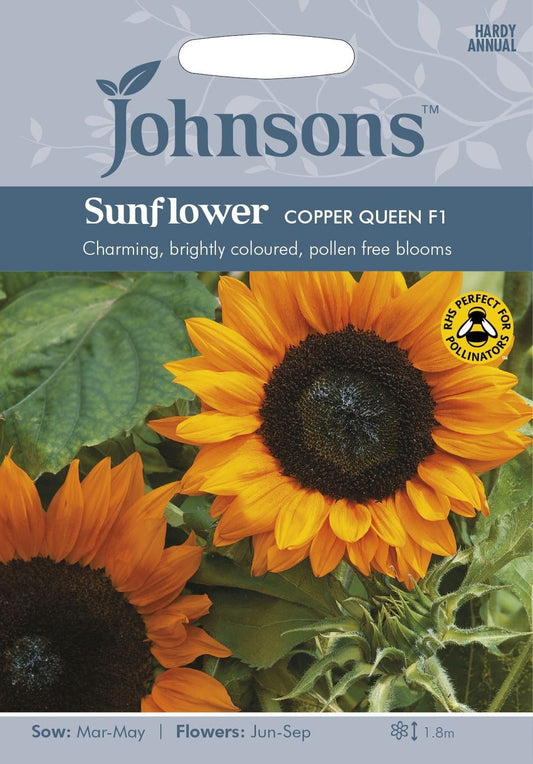 Johnsons Sunflower Copper Queen F1 25 Seeds