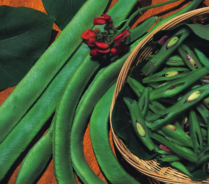 Runner Bean Scarlet Emperor Seeds