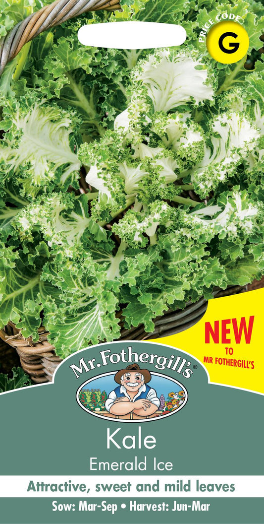 Mr Fothergills - Vegetable - Kale - Emerald Ice - 30 Seeds