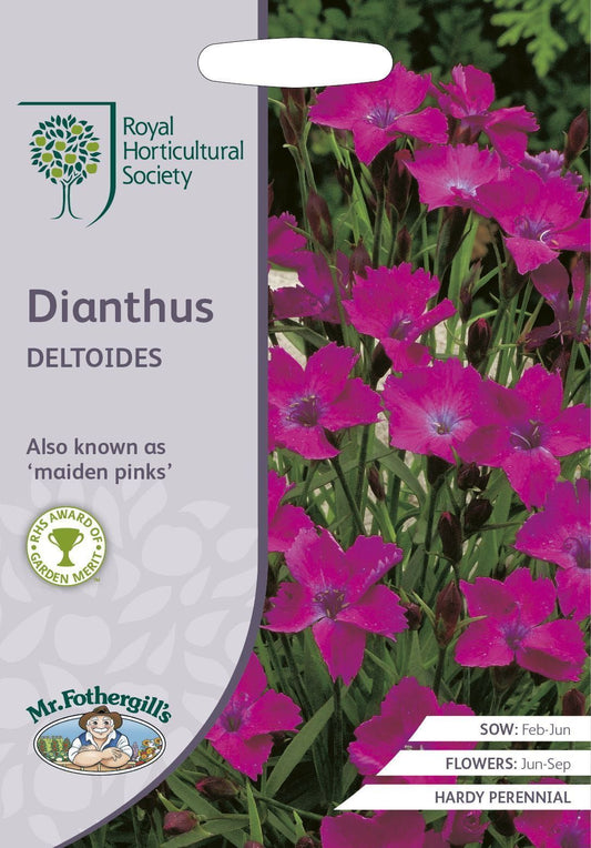 Mr Fothergills RHS Dianthus Deltoides 200 Seeds