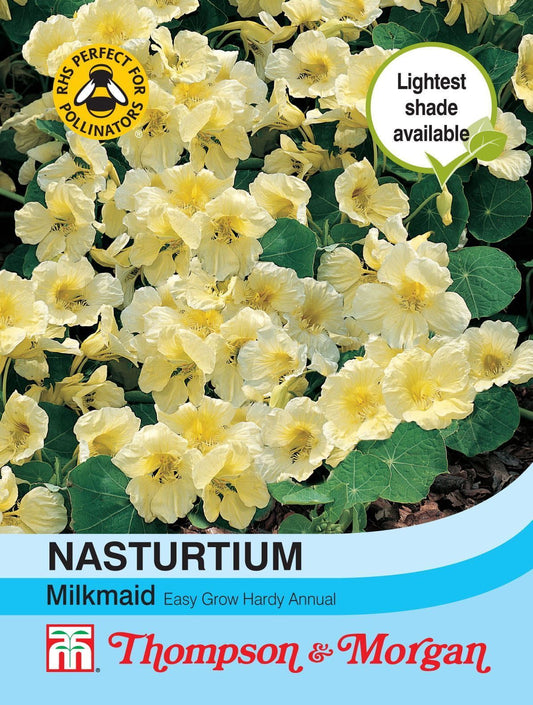 Thompson & Morgan Nasturtium Milkmaid 30 Seed