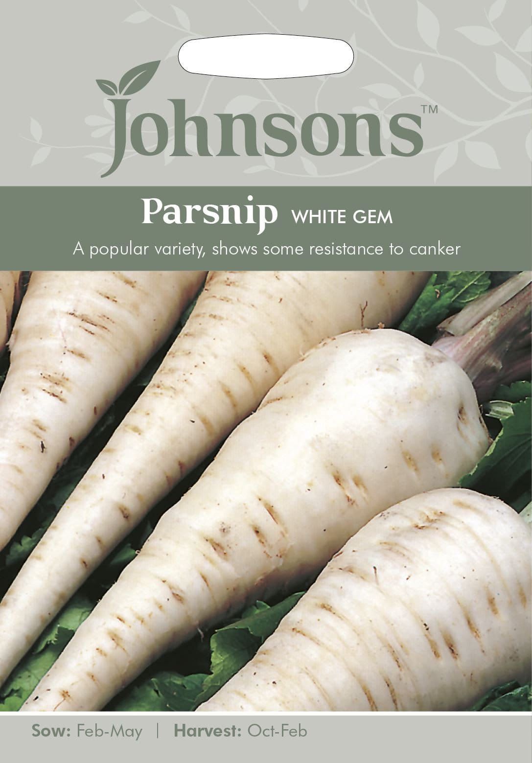 Johnsons Parsnip White Gem 500 Seeds