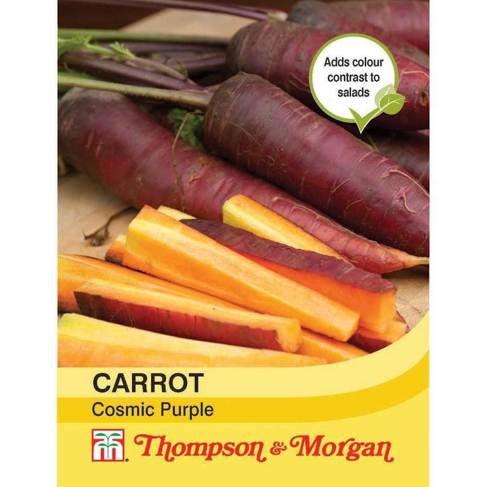 Thompson & Morgan - Vegetable - Carrot - Cosmic Purple - 400 Seeds
