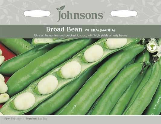 Johnsons Broad Bean Witkiem Manita 45 Seeds