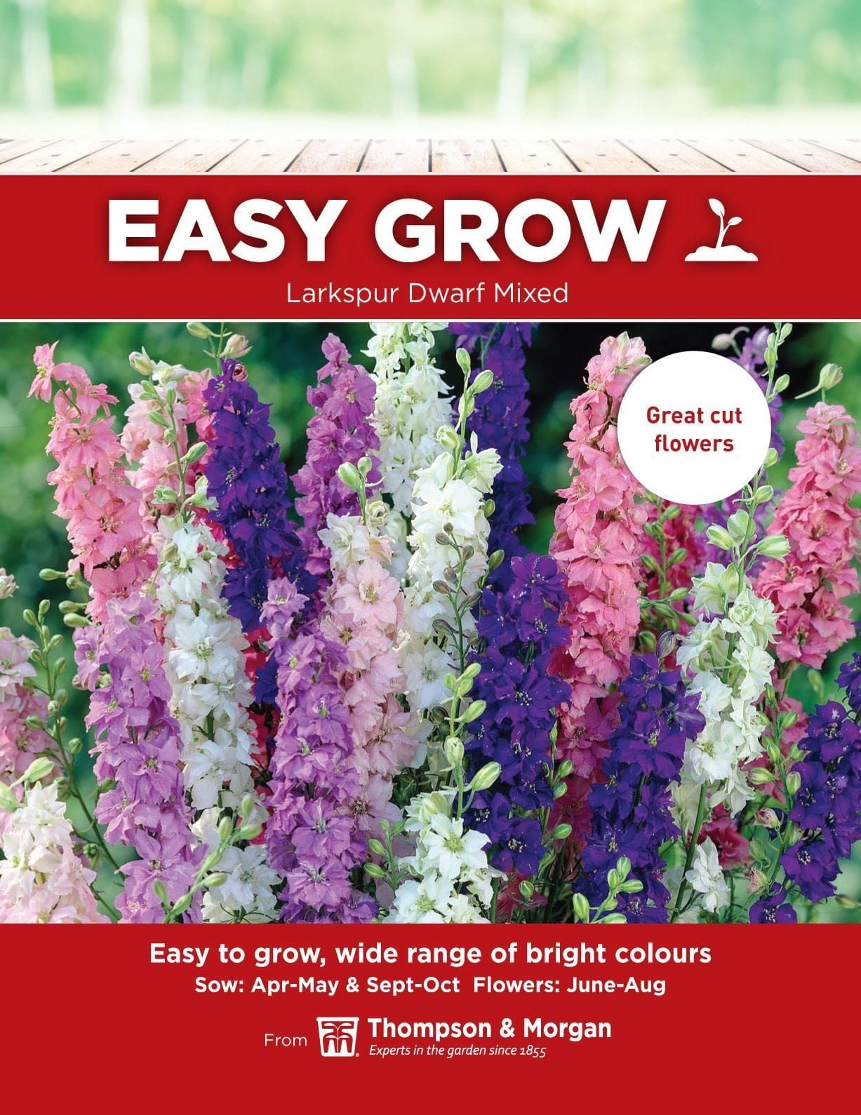 Thompson & Morgan - EasyGrow - Flower - Larkspur - Dwarf Mixed - 150 Seeds