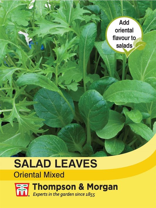 Thompson & Morgan Salad Leaves Oriental Mixed 500 Seed