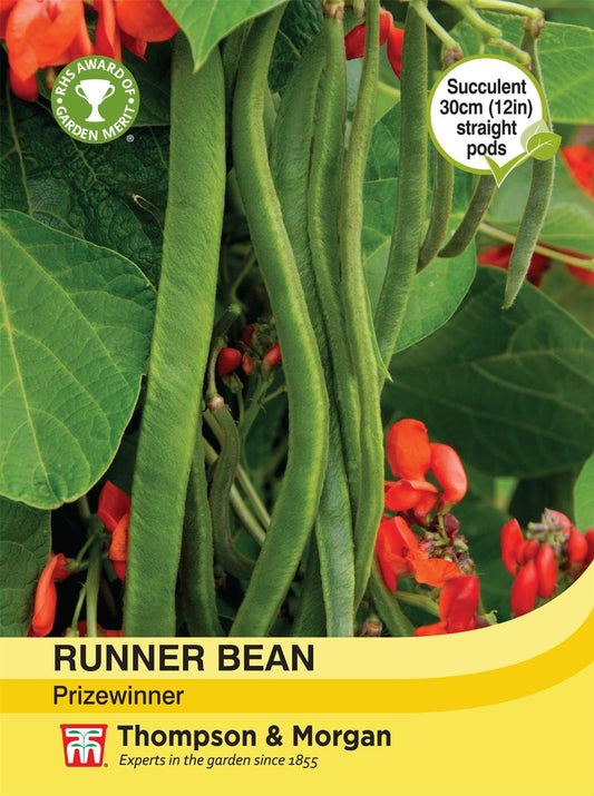Thompson & Morgan - Vegetable - Runner Bean - Prizewinner - 40 Seeds