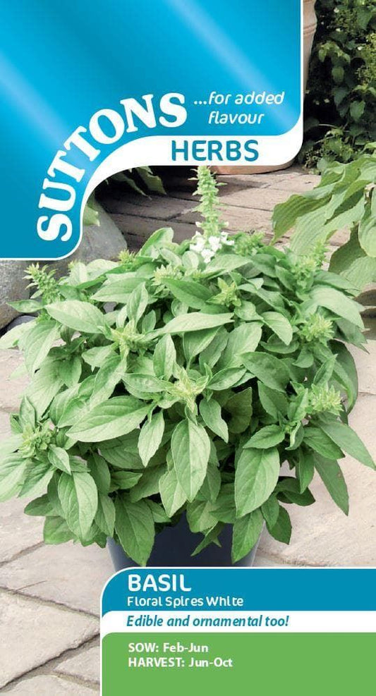 Sutton Seeds - Herb Seeds - Basil Floral Spires White