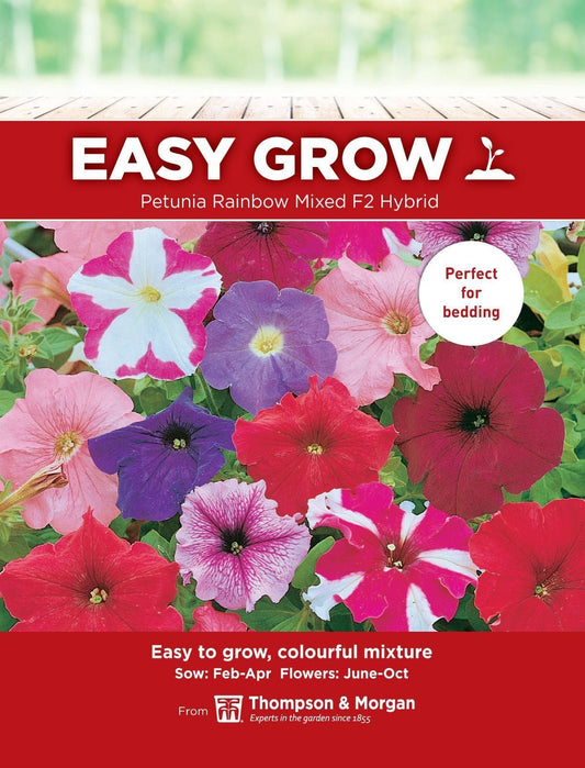 Thompson & Morgan - EasyGrow - Flower - Petunia - Rainbow Mixed F2 Hybrid - 600 Seeds