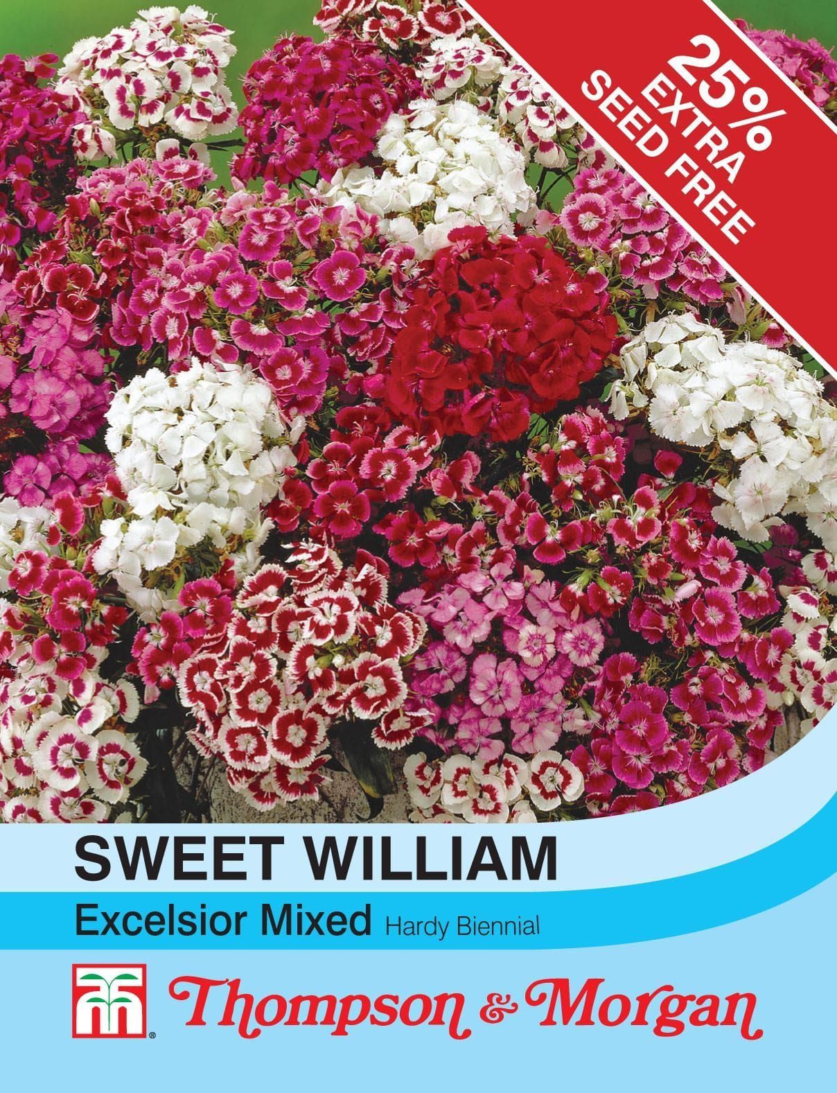 Thompson & Morgan Sweet William Excelsior Mixed 300 Seed