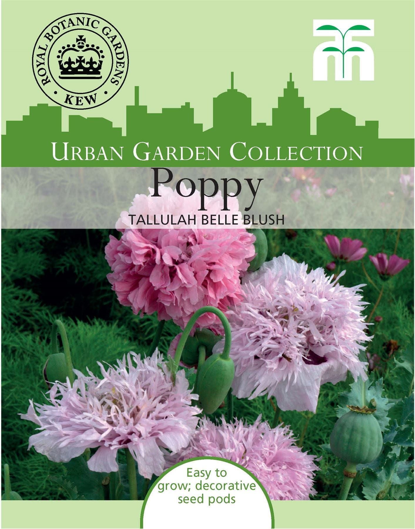 Thompson & Morgan Urban Garden Flowers Poppy Tallulah Belle Blush 250 Seed