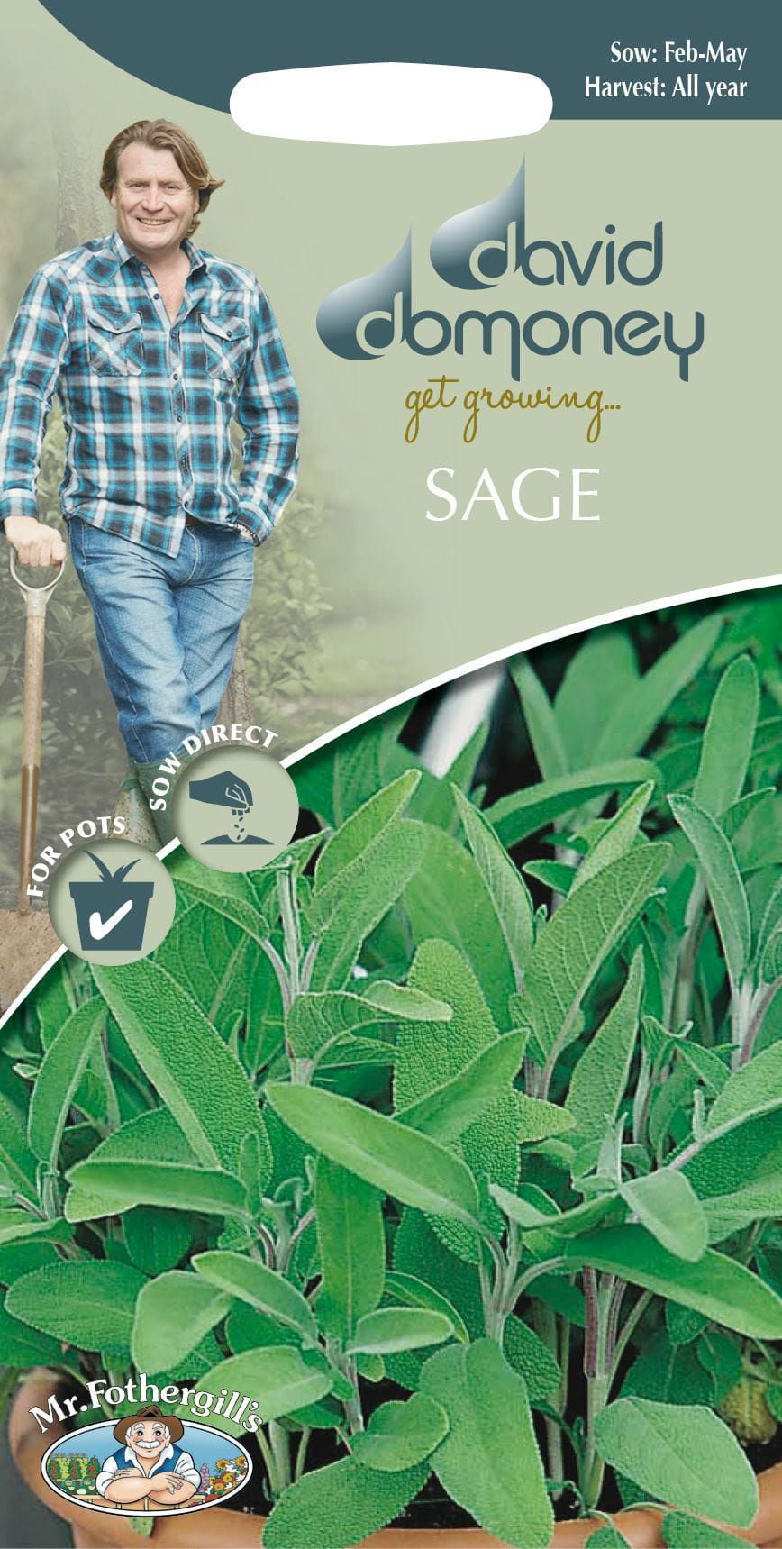 Mr Fothergills - Herb - David Domoney Sage - 75 Seeds