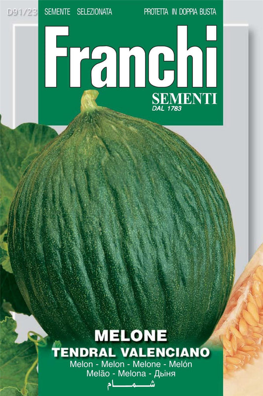 Franchi Seeds of Italy Melon Tendral Verde Seeds