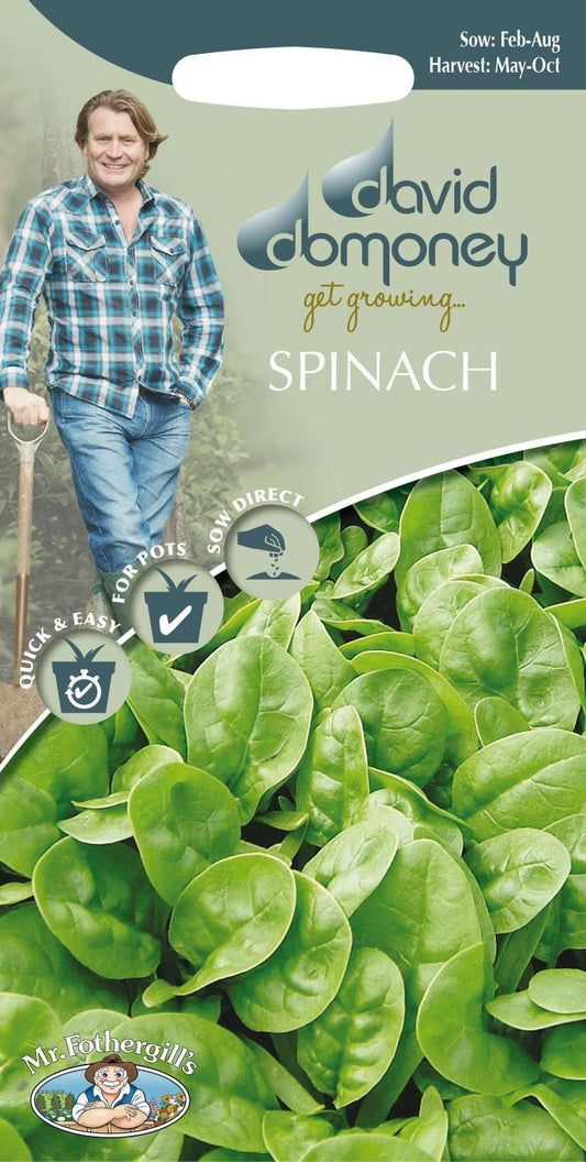 Mr Fothergills - David Domoney - Vegetable - Spinach - Emilia F1 - 300 Seeds