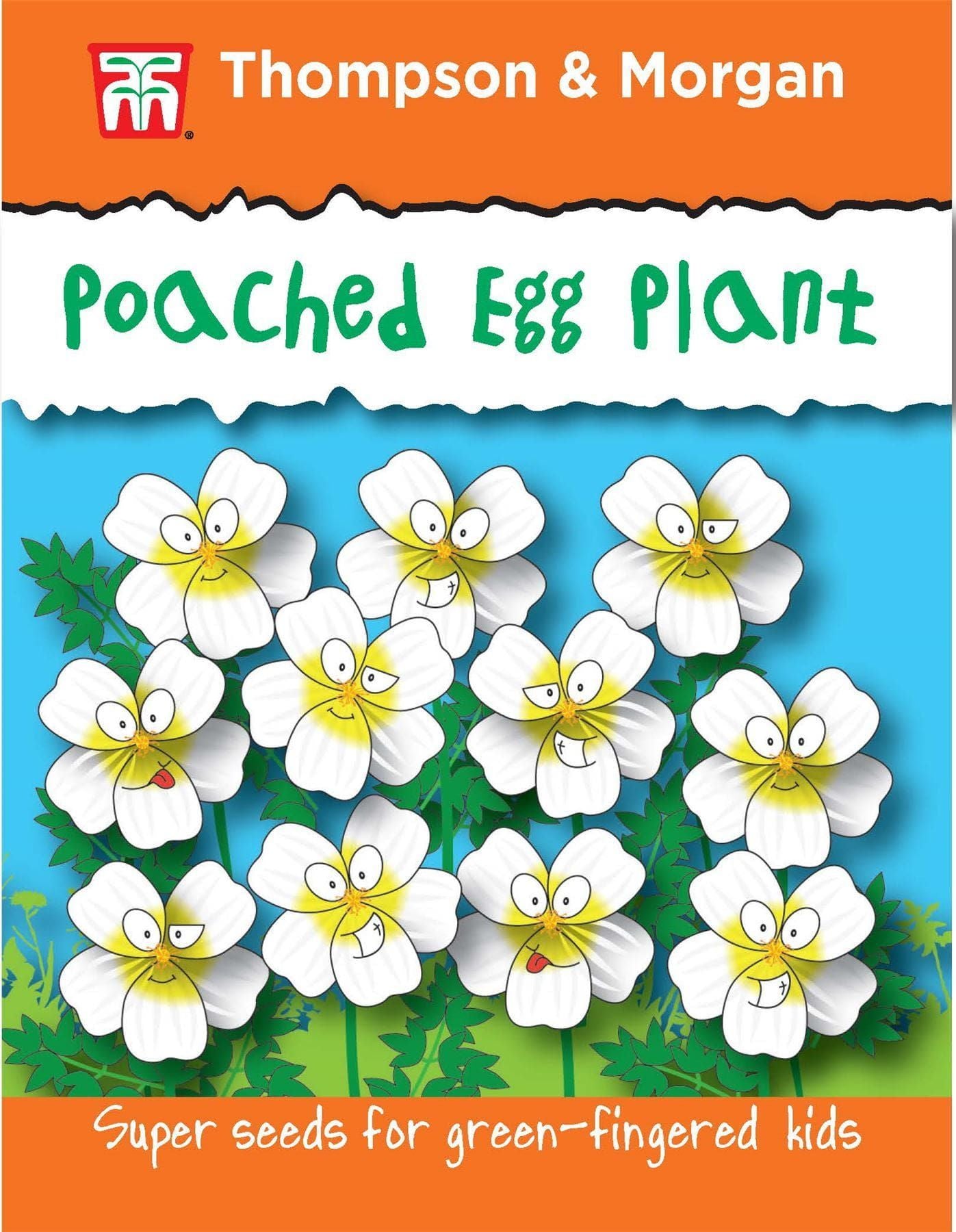 Thompson & Morgan Flowers RHS Kids Poached Eggs 100 Seed