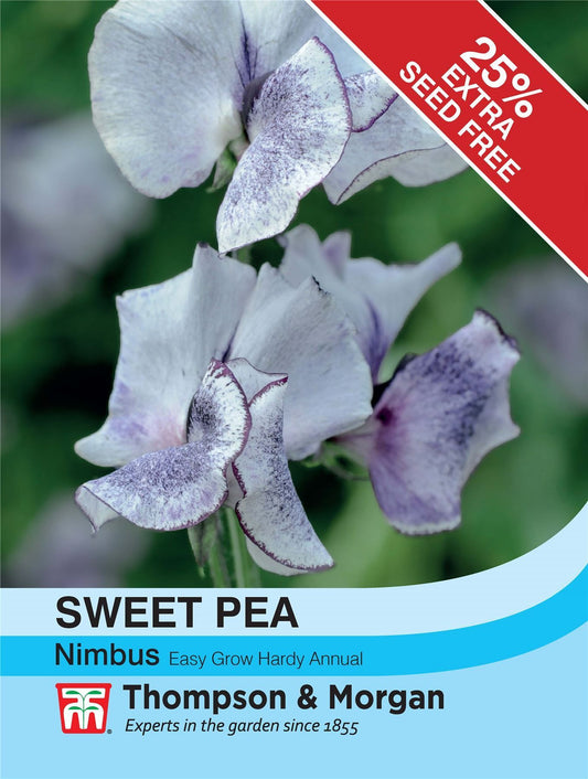 Thompson & Morgan - Flower - Sweet Pea - Nimbus - 25 Seeds