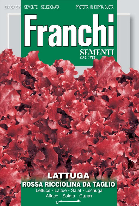 Franchi Seeds of Italy Lettuce Rossa A Foglia Riccia Da Taglio Seeds