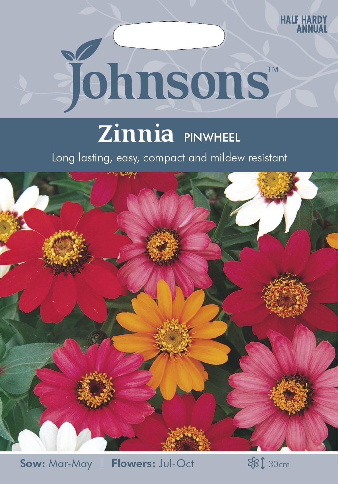 Johnsons Flower Zinnia Pinwheel 100 Seeds