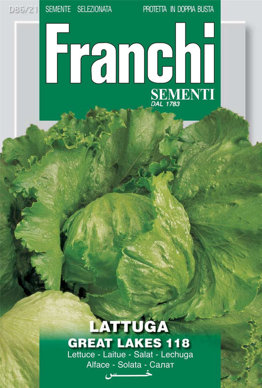 Franchi Seeds of Italy Lettuce Great Lakes 118 - Seeds