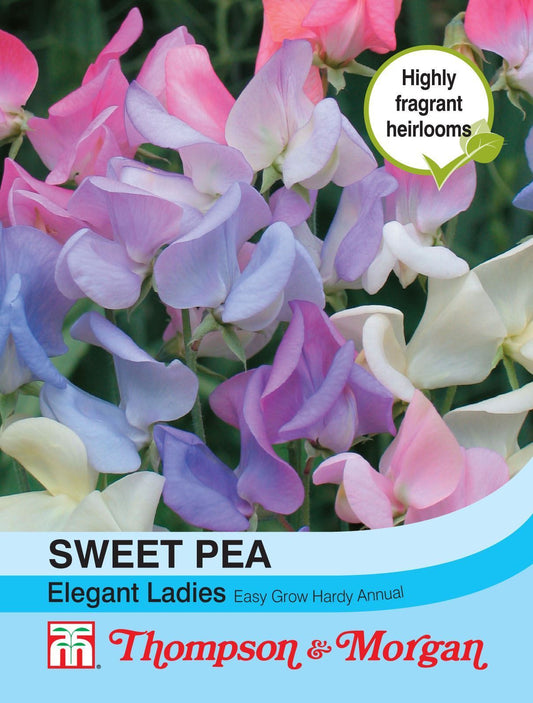 Thompson & Morgan Sweet Pea Elegant Ladies 20 Seed