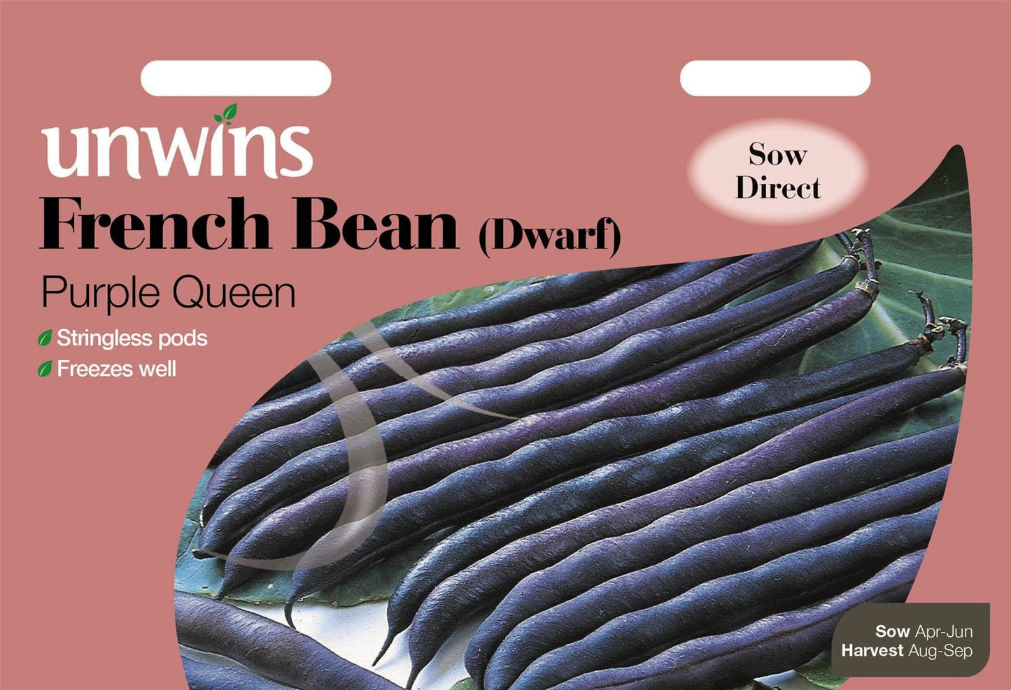 Unwins French Bean (Dwarf) Purple Queen 150 Seeds