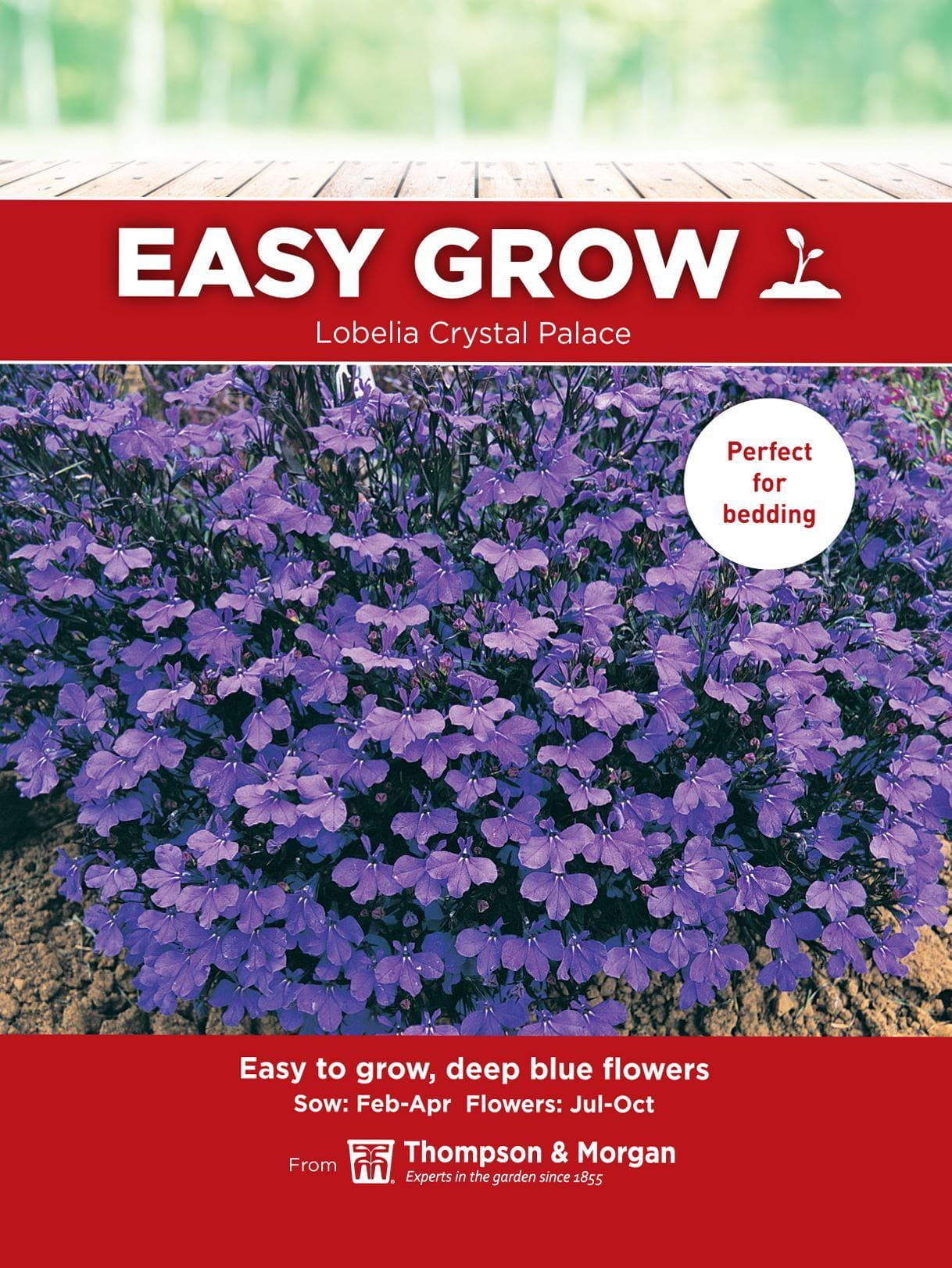 Thompson & Morgan - EasyGrow - Flower - Lobelia - Crystal Palace - 500 Seeds