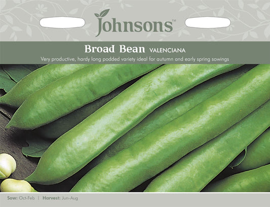 Johnsons Broad Bean Valenciana 45 Seeds