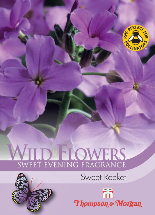 Thompson & Morgan Wild Flower Sweet Rocket 500 Seed