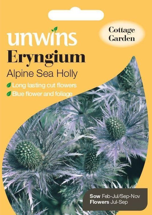 Unwins Eryngium Alpine Sea Holly 50 Seeds