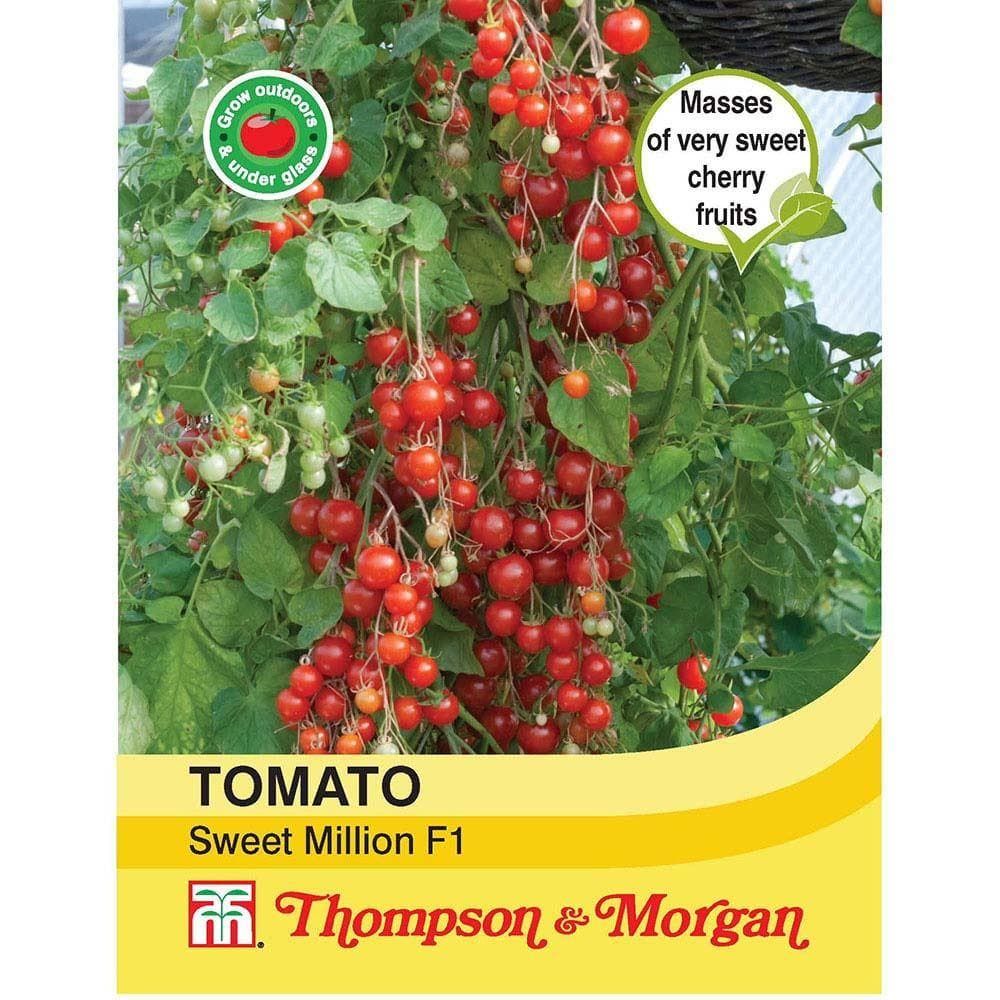 Thompson & Morgan - Vegetable - Tomato - Sweet Million F1 Hybrid - 6 Seeds