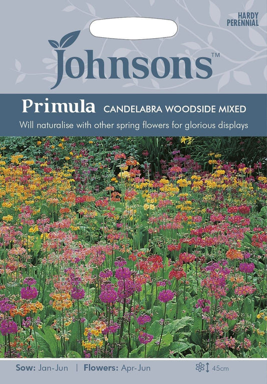 Johnsons Primula Candelabra Woodside Mixed 50 Seeds
