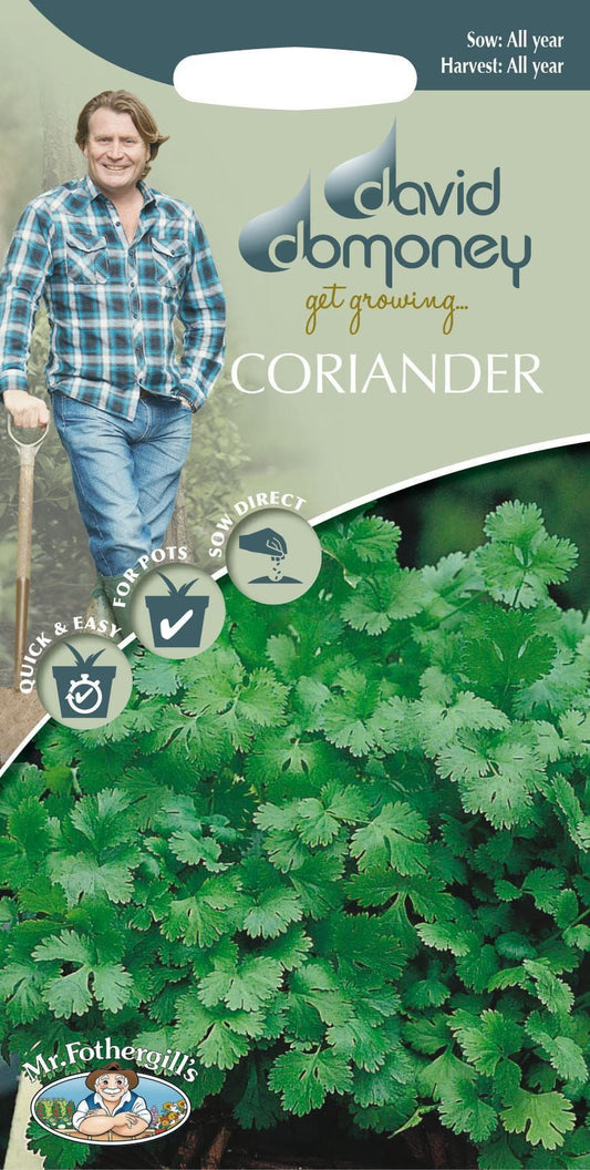 Mr Fothergills - Herb - David Domoney Coriander Cilandro - 150 Seeds