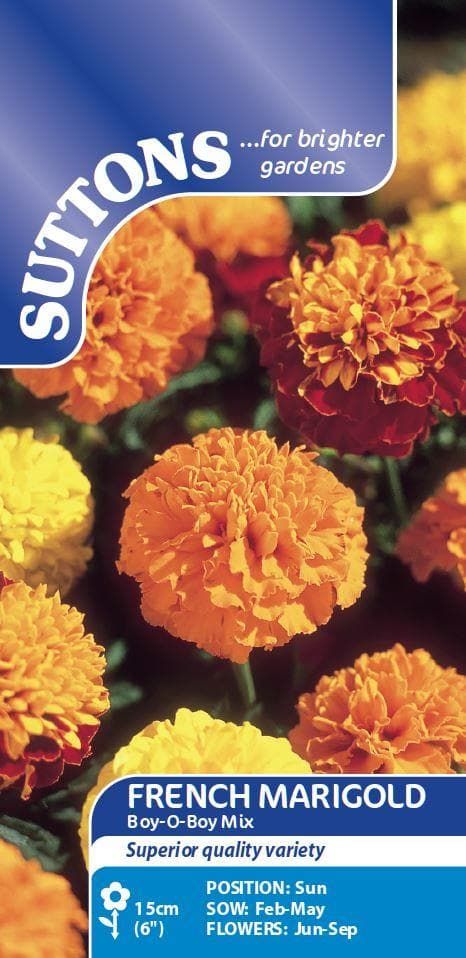 Sutton Seeds - Marigold French Seeds - Boy-O-Boy Mix