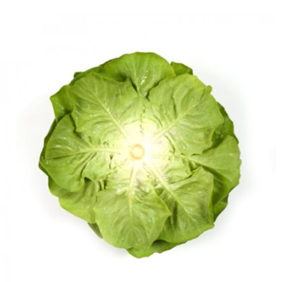Lettuce Multi-Leaf Salanova Descartes RZ (79-154) Seeds
