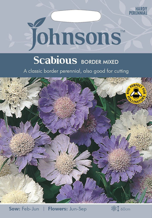 Johnsons Scabious Border Mixed 25 Seeds