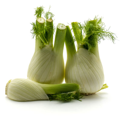 Fennel Sweet Florence Seeds – Bulb Fennel Variety