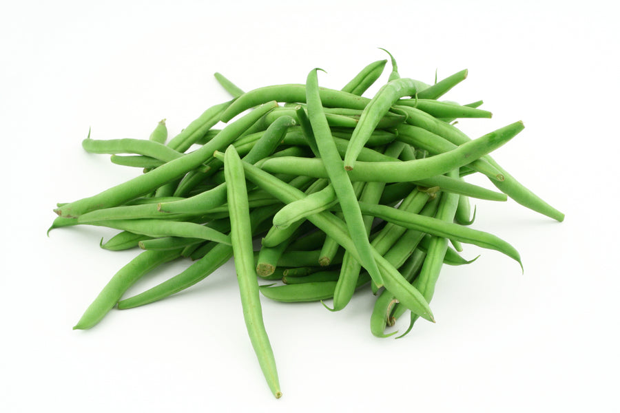 Dwarf French Bean Tendergreen Seeds