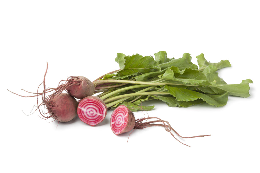Beetroot Chioggia Seeds – Candy Stripe Beetroot