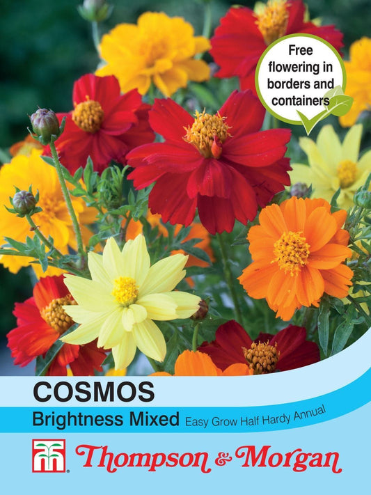 Thompson & Morgan Cosmos Brightness Mixed 100 Seed