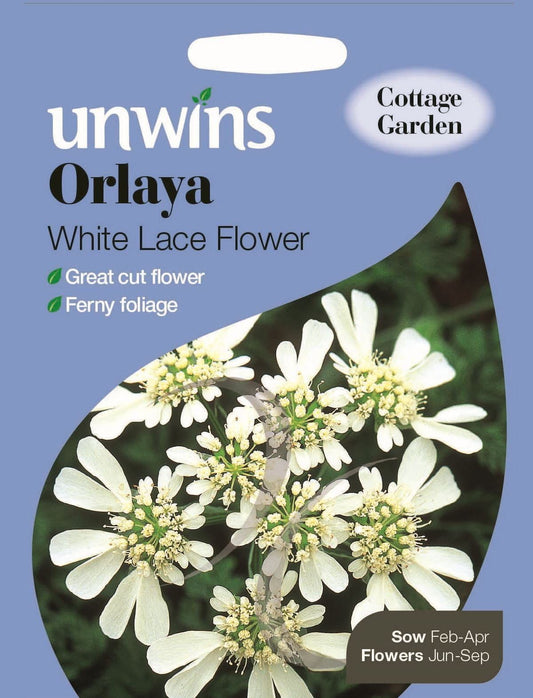 Unwins Orlaya White Lace 75 Seeds
