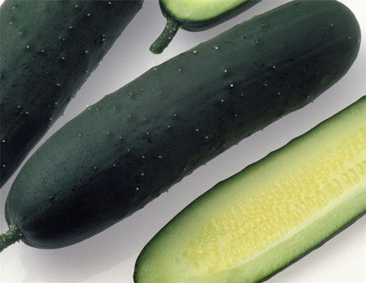 Slicer Cucumber Adrian RZ F1 Hybrid (2290) Seeds