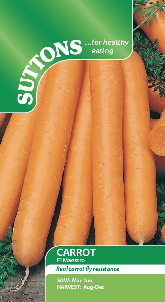Sutton Seeds - Carrot Seeds - F1 Maestro