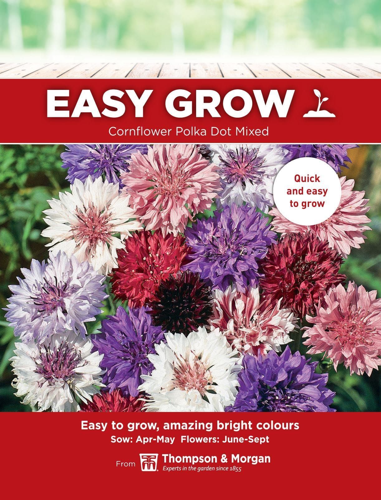 Thompson & Morgan - EasyGrow - Flower - Cornflower - Polka Dot Mixed - 350 Seeds