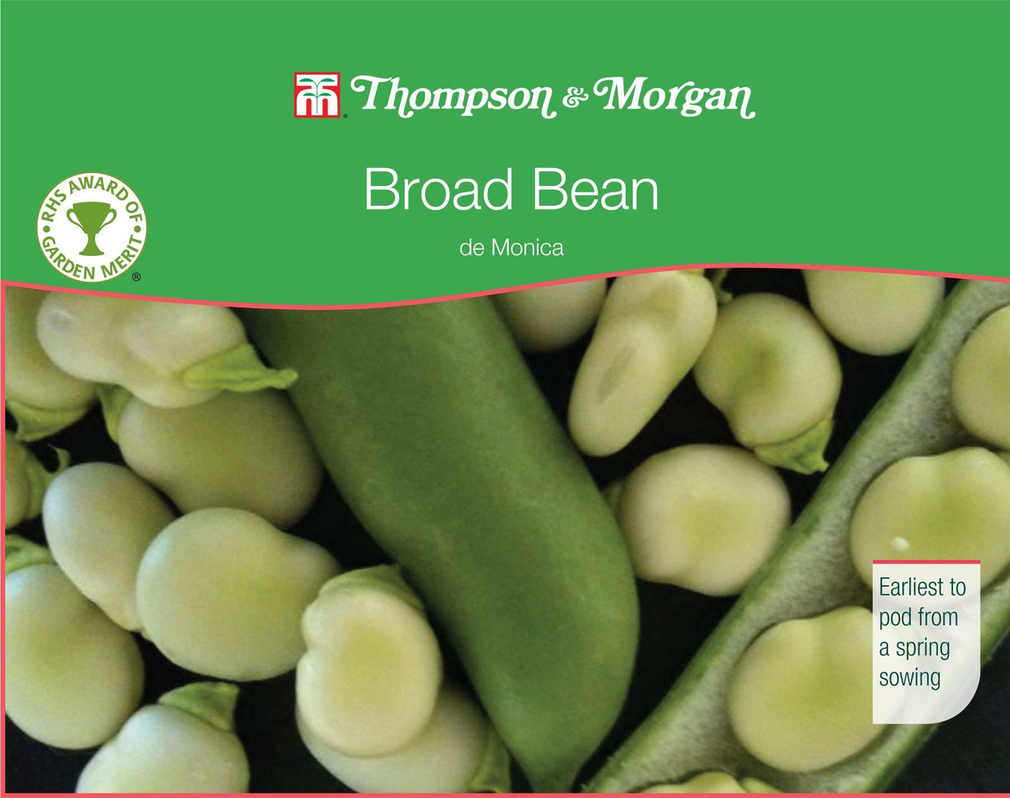 Thompson & Morgan - RHS Vegetable - Broad Bean - De Monica - 40 Seeds
