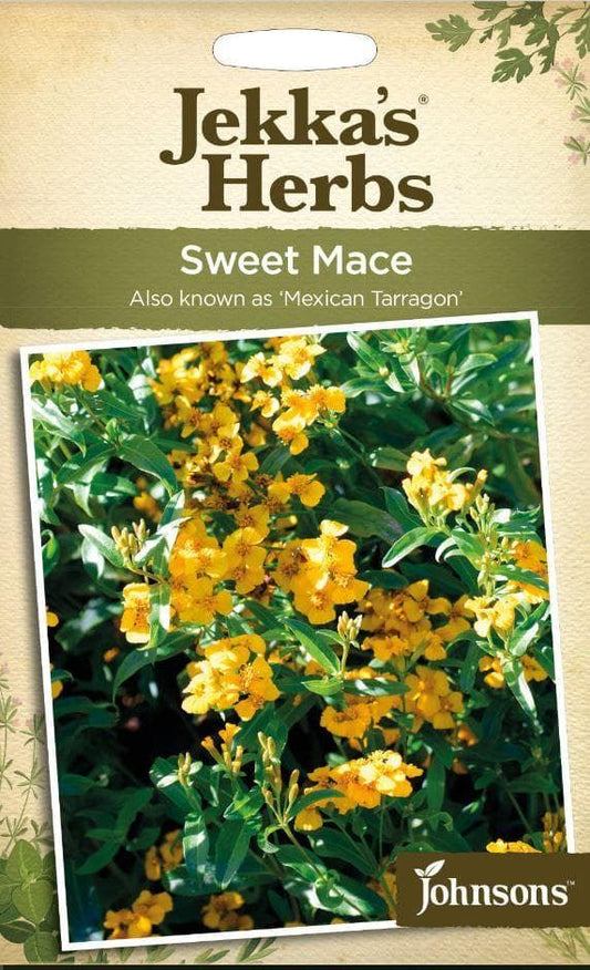 Johnsons Herb Jekka's Sweet Mace (Mexican Tarragon) 100 Seeds