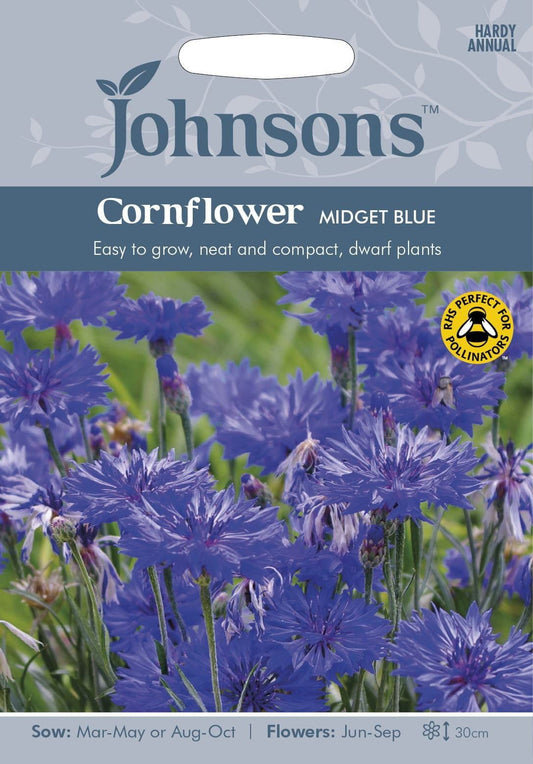 Johnsons Cornflower Midget Blue 150 Seeds