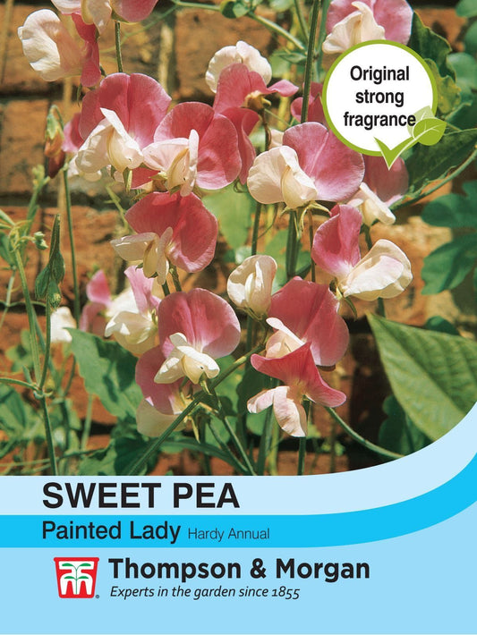 Thompson & Morgan Sweet Pea Painted Lady 20 Seed